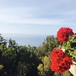 Hotel Villa Riis
